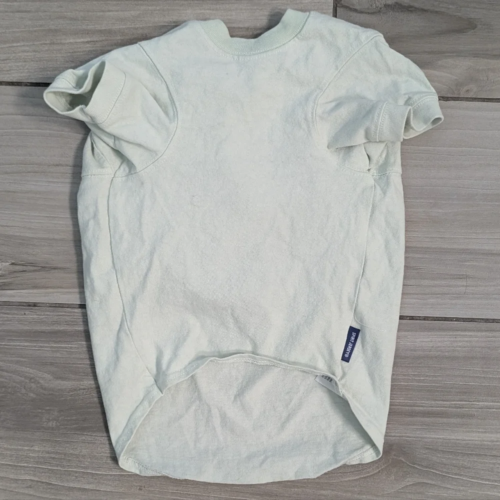 Disneyland Mint Green Glittery Dog Jersey